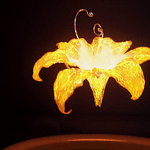 The Glowing Flower