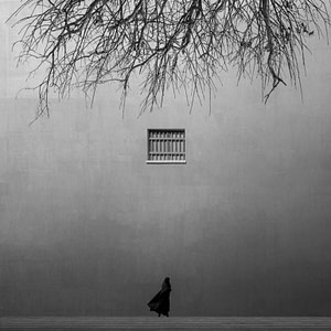 window
