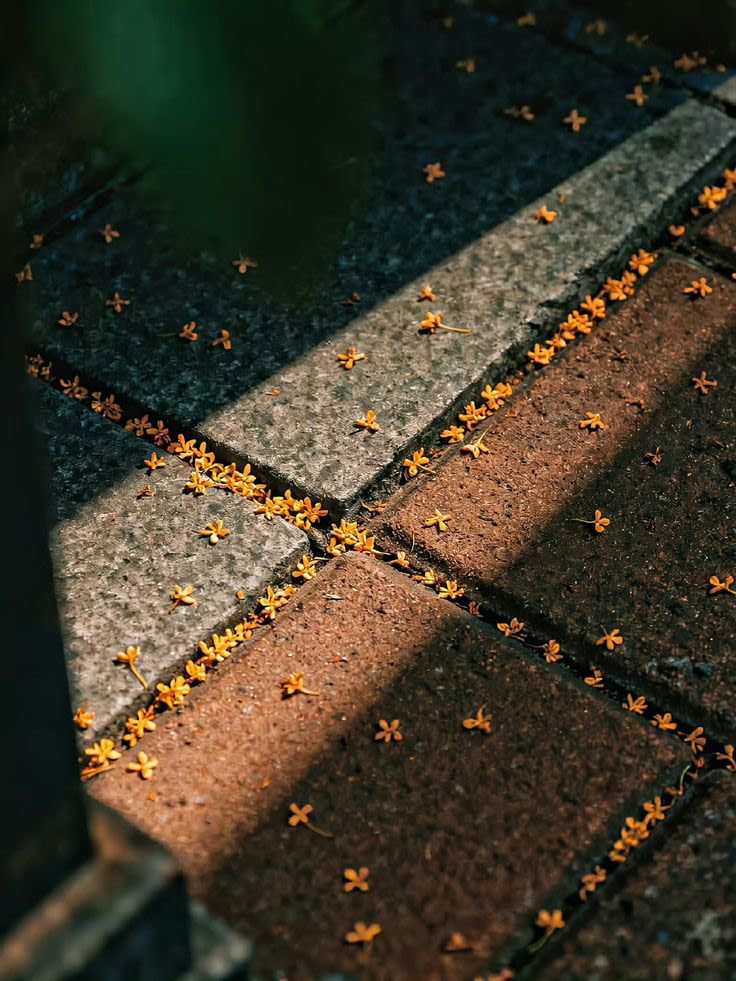 leaves