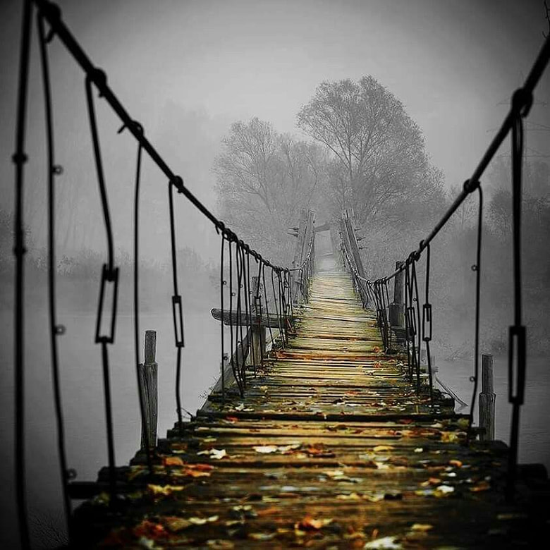 bridge